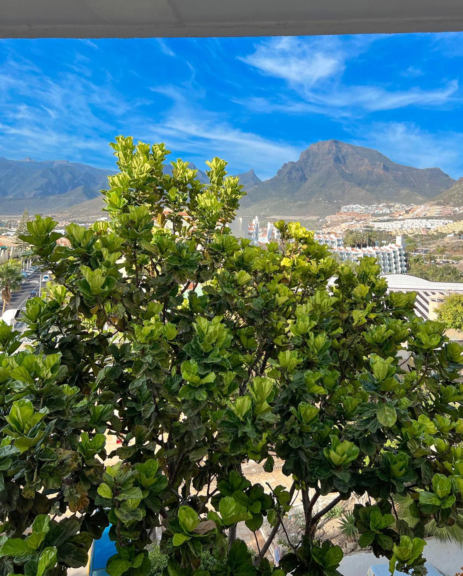 Tenerife Paradise Anna Studio Costa Adeje  Exterior photo