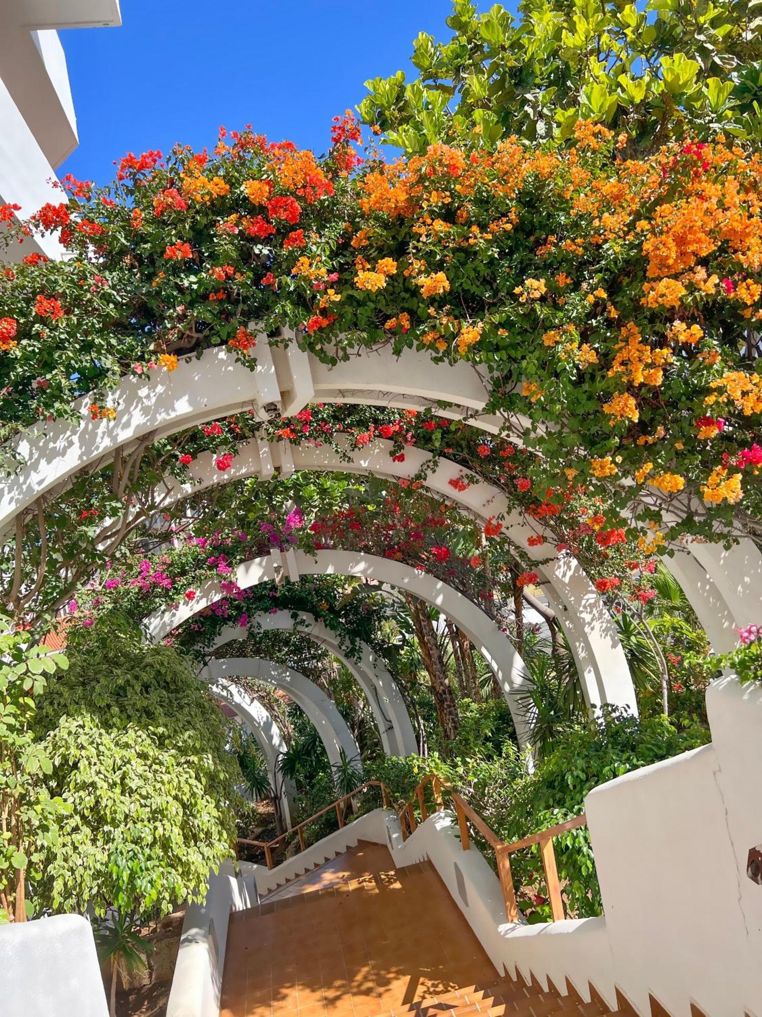 Tenerife Paradise Anna Studio Costa Adeje  Exterior photo